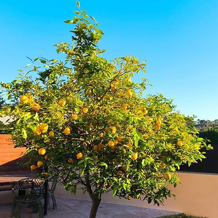 Adosado Con Jardin En Los Xalets De سالو المظهر الخارجي الصورة