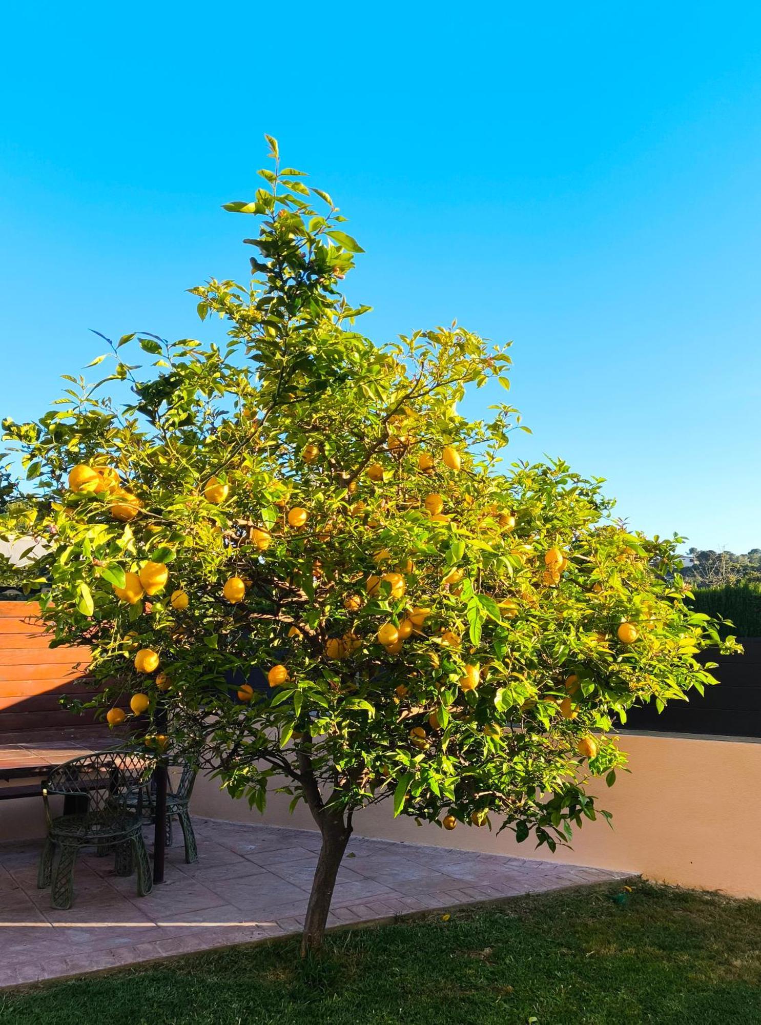 Adosado Con Jardin En Los Xalets De سالو المظهر الخارجي الصورة